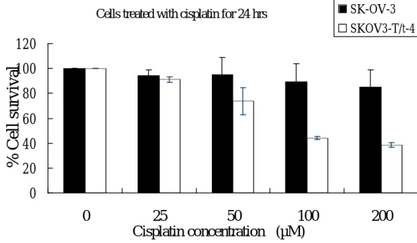 Fig. 12  T/t-common-expressing SK-OV-3 cells are more sensitive to anti-cancer  drug cisplatin than parental SK-OV-3 cells