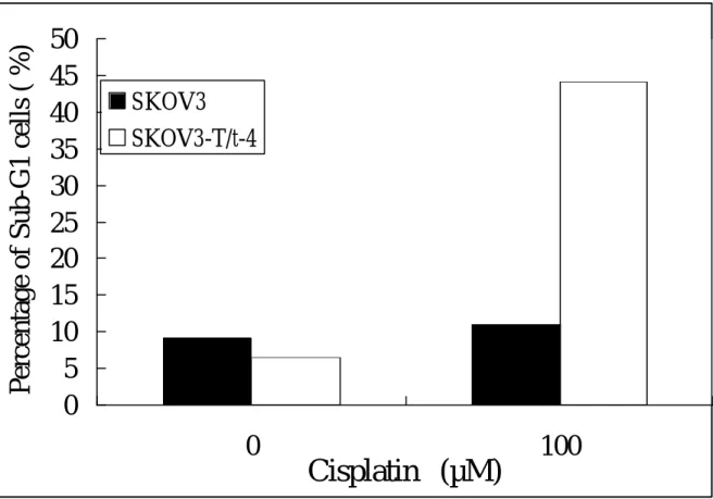 Fig. 13  Enhanced apoptosis in cisplatin-treated T/t-common-expressing SK-OV-3  cells as compared to cisplatin-treated SK-OV-3 cells