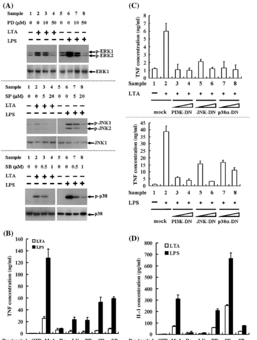 Fig. 3. Effects of protein kinase inhibitors on TNF and IL-1 secretion/proIL-1 expression in LTA- or LPS-stimulated cells
