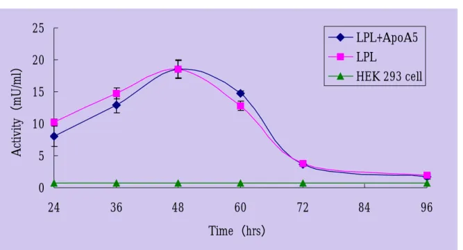 Fig. 6：脂蛋白解脂酶活性表現的時效分析  野生型脂蛋白解脂酶及脂蛋白元 A5 之質體 DNA 以電擊方式轉染至 HEK 293 細胞株中， 按一定時間收集細胞培養液測得的活性。各活性數據均以 3 次個別轉染結果之平均值加減 標準偏差（Mean±S.D.）表示。  0510152025 24 36 48 60 72 84 96 Time（hrs）Activity（mU/ml） LPL+ApoA5LPL HEK 293 cell
