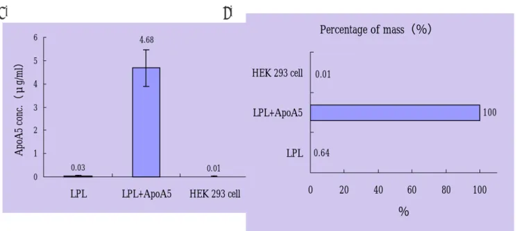Fig. 10：脂蛋白元 A5 表現量的分析圖（A）及比較圖（B）  野生型脂蛋白解脂酶及脂蛋白元 A5 之質體 DNA 以電擊方式轉染至人類 293 細胞株中，第 48 小時收集培養液測得的脂蛋白元 A5 濃度。各濃度數據均以 3 次個別轉染，經β-gal 質 體校正感染效率後之平均值加減標準偏差（Mean±S.D.）表示。  （A） 各型細胞所表現脂蛋白元 A5 之濃度  （B） 濃度之百分比，以共同轉染脂蛋白元 A5 質體 DNA 表現的蛋白濃度為 100％，與只 轉染脂蛋白解脂酶質體 DNA 相比較