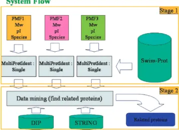 Figure 2. Three sets of peptide mass fingerprints (PMF1, PMF2, PMF3) and related protein-specific attributes are input