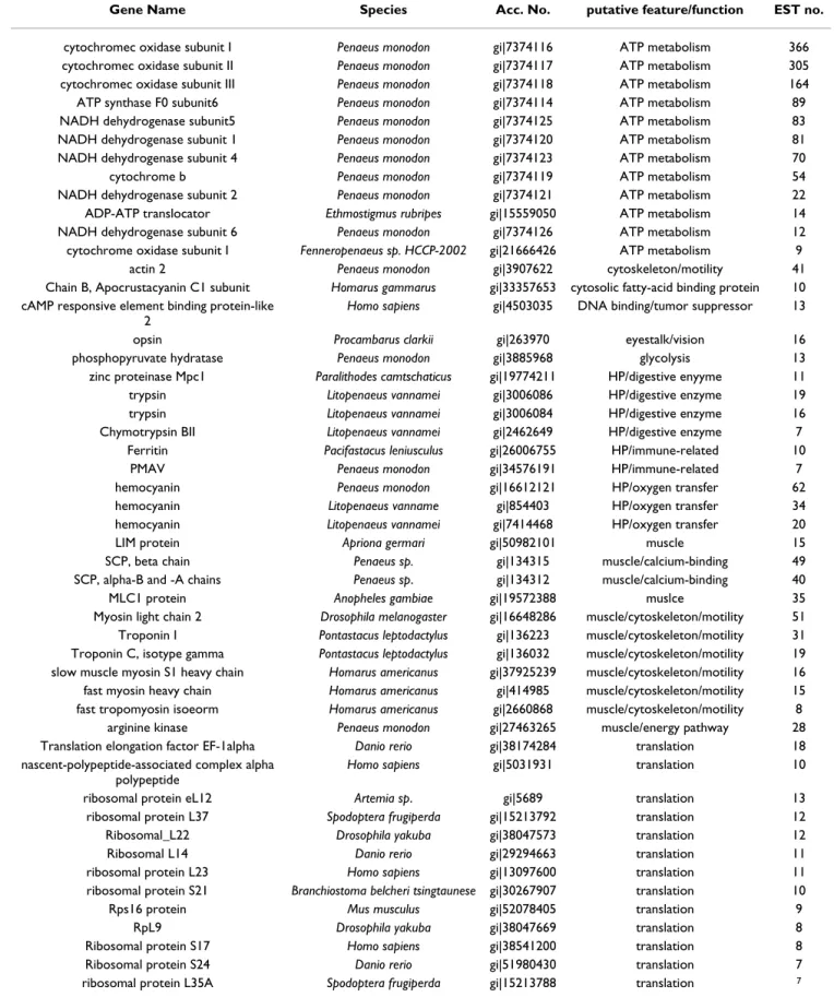 Table 2: The fifty most abundant genes in the normal library.