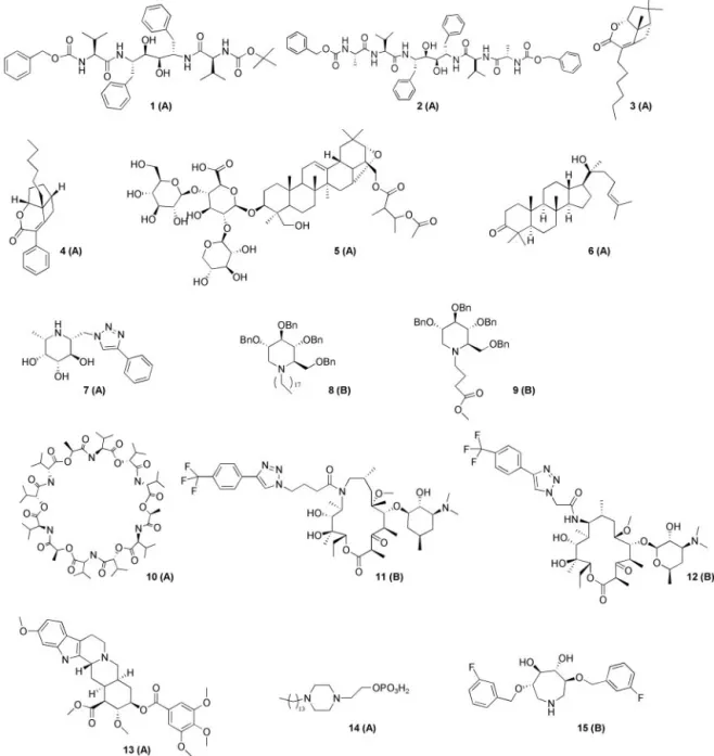 Fig. 3. Representative compounds showed protective effect at 10 ␮M. Parentheses indicate the result of cytotoxicity