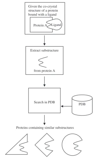 Figure 1. One application addressed by the design of ProteMiner-SSM.