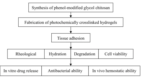 Figure 1-1 Experimental scheme of this research Synthesis of phenol-modified glycol chitosan 
