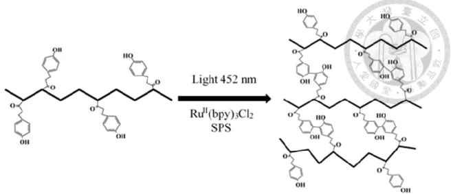 Figure 2-2 Fabrication of HPP-GC hydrogel. 