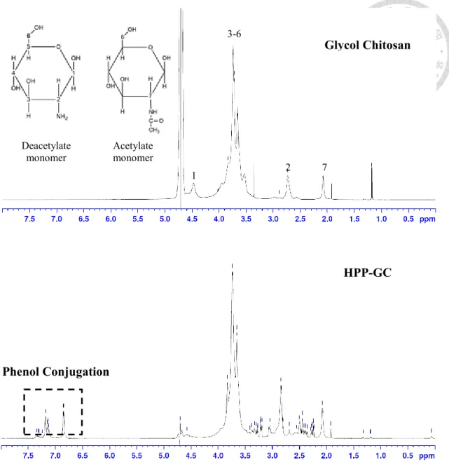 Figure 3-1  1 H NMR analysis of glycol chitosan and HPP-GC. Deacetylate monomer Acetylate monomer  Glycol Chitosan HPP-GC 1 2 3-6 7 Phenol Conjugation 