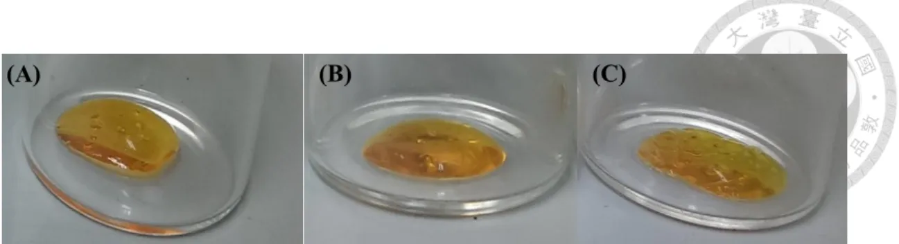 Figure 3-4 Appearance of hydrogel with different DS. (A) low DS (~0.250 µmole/mg  HPP-GC) (B) moderate DS (~ 0.370 µmole/mg HPP-GC) (C) high DS (> 0.534 