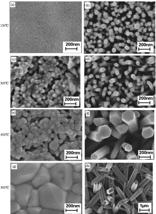 FIG. 1. FESEM images of ZnO sol- sol-gel thin films with annealing at 共a兲 130 ° C, 共c兲 300 °C, 共e兲 600 °C, and 共g兲 900 °C