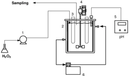 Fig. 1. The experimental apparatus sketch. Components: (1) syringe pump; (2) reaction vessel; (3) UV lamp; (4) stirrer; (5) pH meter; (6) thermostate.