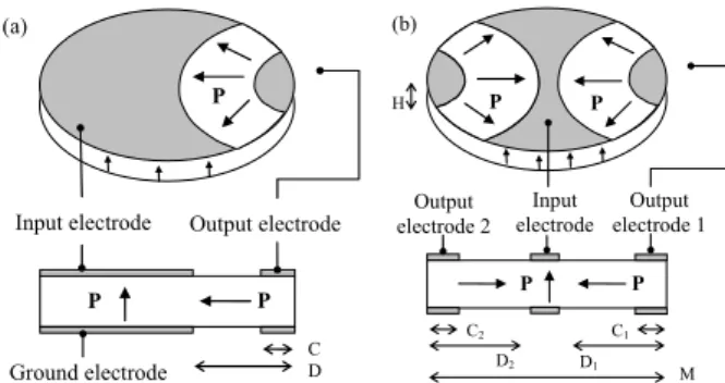 Figure 1: The schematic views of (a) a disk-type  single-input PT and (b) a disk-type dual-output PT