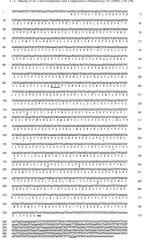 Fig. 1. Nucleotide and deduced amino acid sequences of tiger shrimp TG. The number of nucleotides is shown in the right column of numbers;