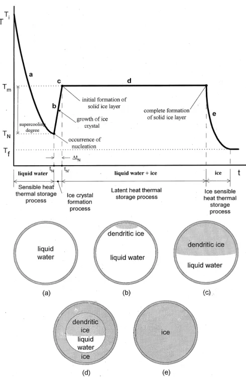 Fig. 3. Phase change during the cooling process of water inside a capsule.