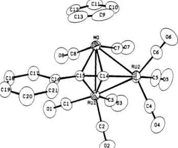 Figure  7.  Variable-temperature  13C  NMR spectra (toluene-d8)  of  10  in  the  region  of  CO resonances