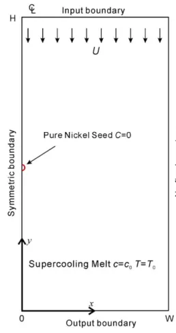 Fig. 1. A schematic of a binary dendrite growing in a supercooled and supersaturated melt with a forced ﬂow.