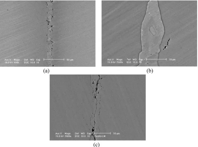Fig. 6. The SEM BEI observations of Fe 3 Al/BNi-2/Fe 3 Al specimens brazed at 1150  C for 240 s and subsequently followed by 1000  C homo- homo-genization for (a) 48, (b) 72 and (c) 120 h.