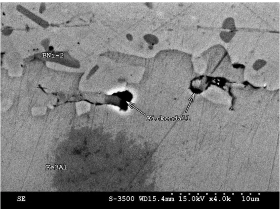 Fig. 7. The SEM SEI observations of Fe 3 Al/BNi-2/Fe 3 Al specimens brazed at 1150  C for 240 s and followed by 1000  C for 24 h.