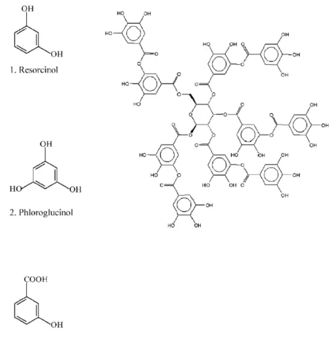 Fig. 1. Structure of the model compounds used in this study.