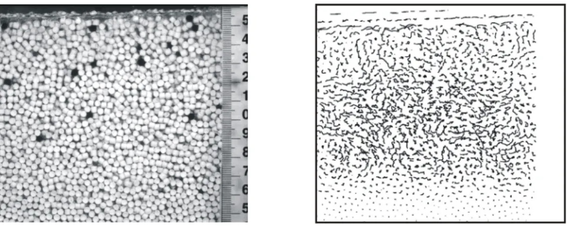 Fig. 14. Liquid-granular flow imaged through a flume sidewall. Left: side view image (mean flow  is from left to right); right: convected trajectories (i.e