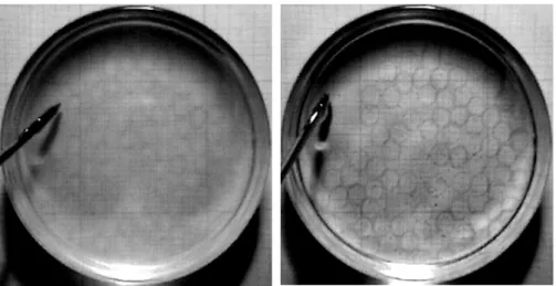 Fig. 2.  RIM dependence on temperature. Left: the transparency is better at temperature of 15 o C; 