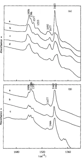 FIG.  9.  FT-IR  spectra  of  pyridine  adsorbed  on  calcined Cr-Ti oxide (Cr/(Ti  +  Cr)  =  9%) after evacu-  ~  ation at (a) RT (b) 423 K,  (c) 523 K, and (d) 623 K