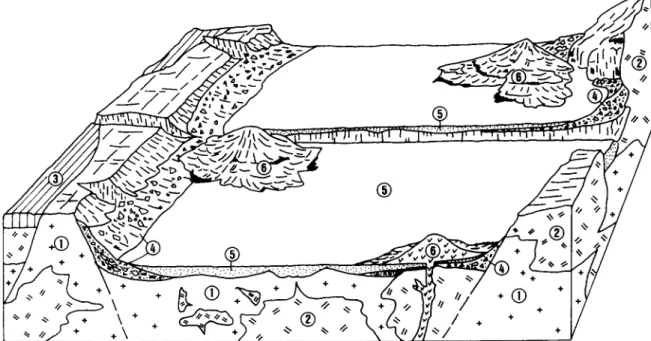 Fig. 4.  Schematic reconstruction,  after  models  for  the  Mid-Atlantic  Ridge  and  the  Mesozoic Tethys [27], of the  South  China  Sea  spreading  axis during  Miocene  time (about  15  Ma):  1 = serpentinized  peridotites;  2 = gabbros;  3 = N-MORB; 