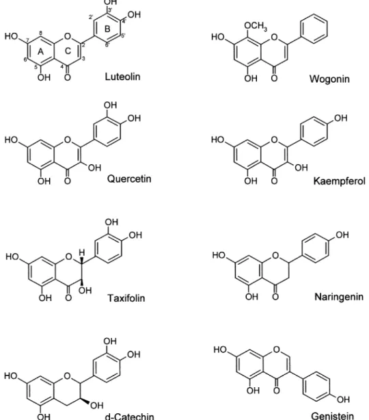 Figure 1 The chemical structures of ¯avonoids. Flavone: luteolin and wogonin; Flavonol: quercetin and kaempferol; Flavanones:
