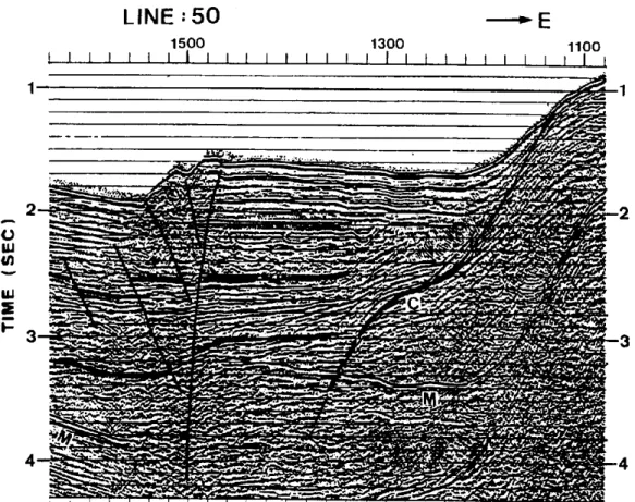 Figure 5. Seismic section of line 50 (location is indicated in Fig. 3). The strike-slip fault on this  section traversed by fault A is evidenced by: offset of the basement, vertical offset of nearly  horizontal reflectors, converged fault zone and vertical