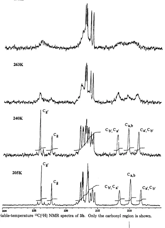 Figure  9.  Variable-temperature l3C(lH)  NMR  spectra of  3b. Only the carbonyl region is shown