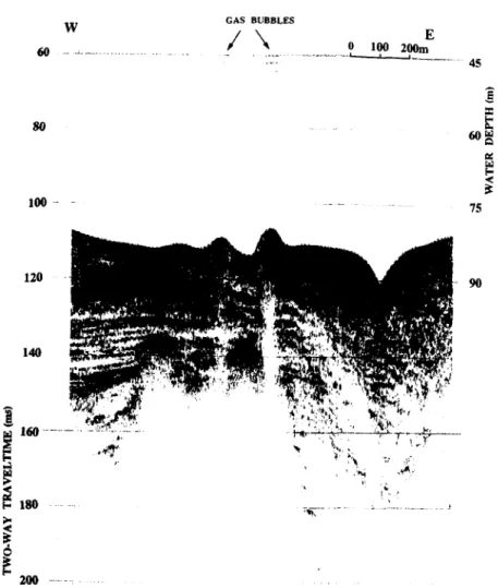 Fig.  6.  A  3.5 kHz  profile  across  an  active  mud  volcano  group  on  top  of  the  Fangliao  diapiric  anticline
