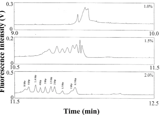 Fig. 1. Separation of a 25 mg / mL kbp DNA marker in the presence of EOF at 250 V/ cm using different HEC solutions containing 5 mg / mL EtBr prepared in 20 mM MB, pH 10.0
