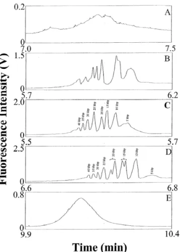 Fig. 2. Separation of the 5 mg / mL 5 kb DNA ladder in the Fig. 2. It should be pointed out that the loss of