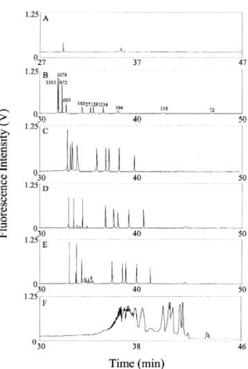 Fig. 2. Effect of the plug composition on DNA stacking at 333