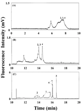 Table 3. Comparison of EOF, Electrophoretic Mobility (µ ep ), Peak Height, and Efficiency for Proteins under Three Different Conditions