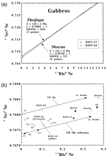 Fig. 6. a Rb–Sr mineral isochrons for gabbros from Shacun Ž . Ž BJ95-21 . and Zhujiapu Ž BJ95-04 ,