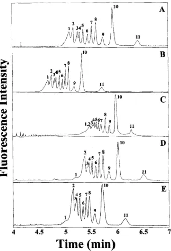 Figure  1.  Representative CE separations of kbp sized dsDNA fragments in  the presence of  EOF,  using PEO solutions: CE at 15 kV; capillary length: 