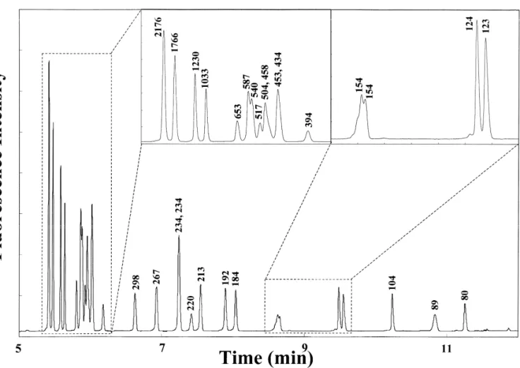 Fig. 1. Separation of DNA markers V and VI in the presence of EOF at 15 kV, using a 1% PEO (M 8 000 000) solution containing 1 mg / ml r
