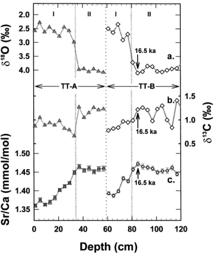 Fig. 4. Tracer data for C. wuellerstor¢ in the Caribbean core TT9108-1GC. Since the top 58 cm was sampled twice, two sets of glacial^interglacial records (TT-A from 0^58 cm and TT-B from 60^120 cm) were obtained (separated by dotted line at 59 cm).