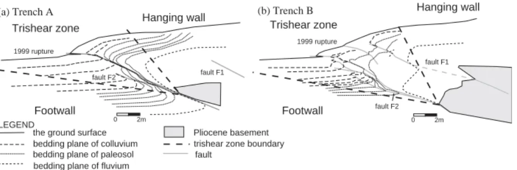 Fig. 7. (a, b) Trishear deformation zone resulted from the 1999 earthquake rupturing. Fault tips cut through the ground surface during the earthquake.