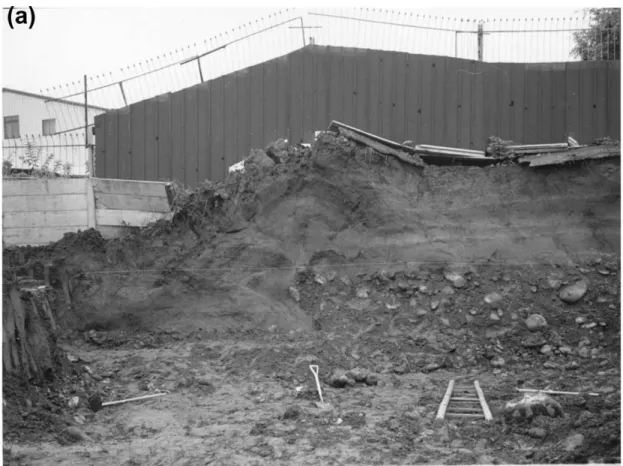 Fig. 2. (a) Vertical exposure of the principal rupture; (b) Map of trench wall showing geologic contacts and faults (after Lee et al., 2001)