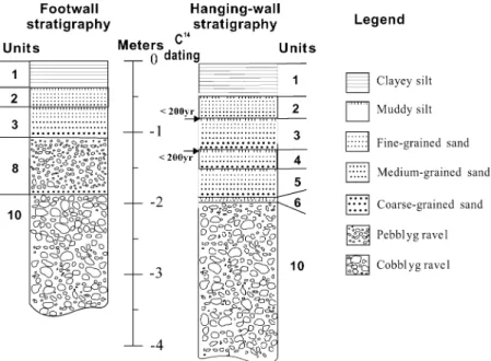 Fig. 3. Generalized stratigraphy of sedimentary deposits in excavation. Strata consist of fluvial gravels and fining upward sequences of overbank sands