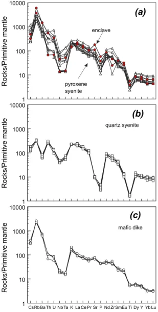 Fig. 9. Primitive mantle (PM) normalized diagrams for (a) pyroxene syenite and enclave, (b) quartz syenite and (c) mafic dike