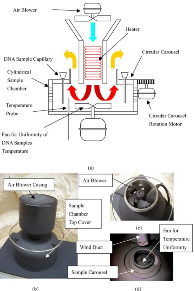 Fig. 1. The thermal cycling system of the present prototype (a) schematic view, (b) the photograph of the system, (c) the air blower, (d) the arrangement of the wind duct with heater inside, DNA samples carousel and the fan for achieving uniformity in DNA 