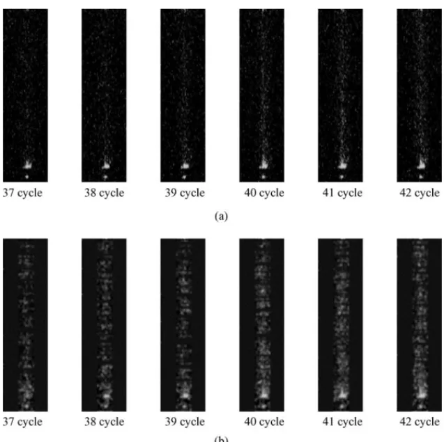 Fig. 6. Fluorescence images from 37th cycle to 42nd cycle at initial DNA copies of 10 5 (a) before image filtering process, (b) after image filtering process.