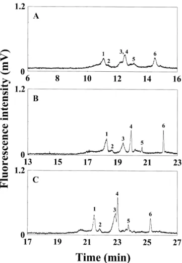 Fig. 1. Effect of PEO solution on on-line concentration and