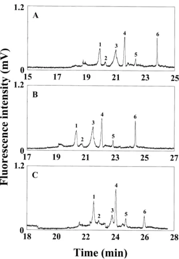 Fig. 2. Effect of the plug length of low pH buffer on on-line
