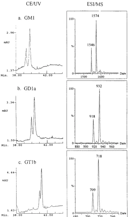 Fig.  2.  C E - U V   and  negative  ESI-MS  mass  spectrum  of  (a)  GM1,  (b)  G D l a ,   (c)  GTlb