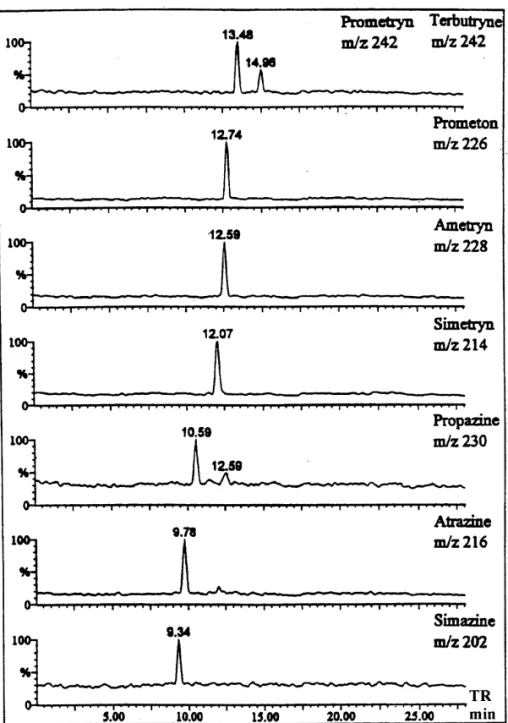 Fig. 6. Selected-ion electropherograms of eight triazines by reversed EOF CE–MS. Sheath liquid composition was 90% methanol–water (80:20) 110% 50 mM ammonium acetate at pH 3.85