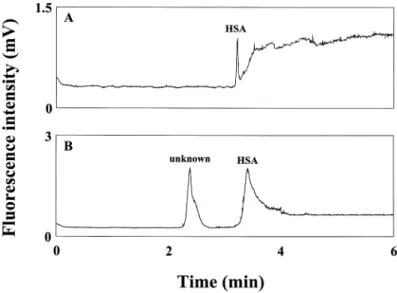 Figure 4. Analysis of HSA in urine and red blood cells using AB 580 by CE-LIF.  (A) urine diluted 0.5-fold with 40 mM TB, pH 8.5; (B) red blood cells